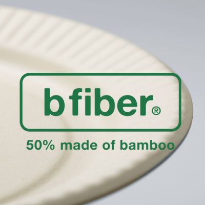 b fiber