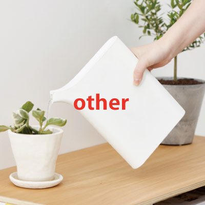 other