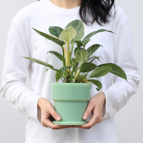 Milk Glass Planter Pot